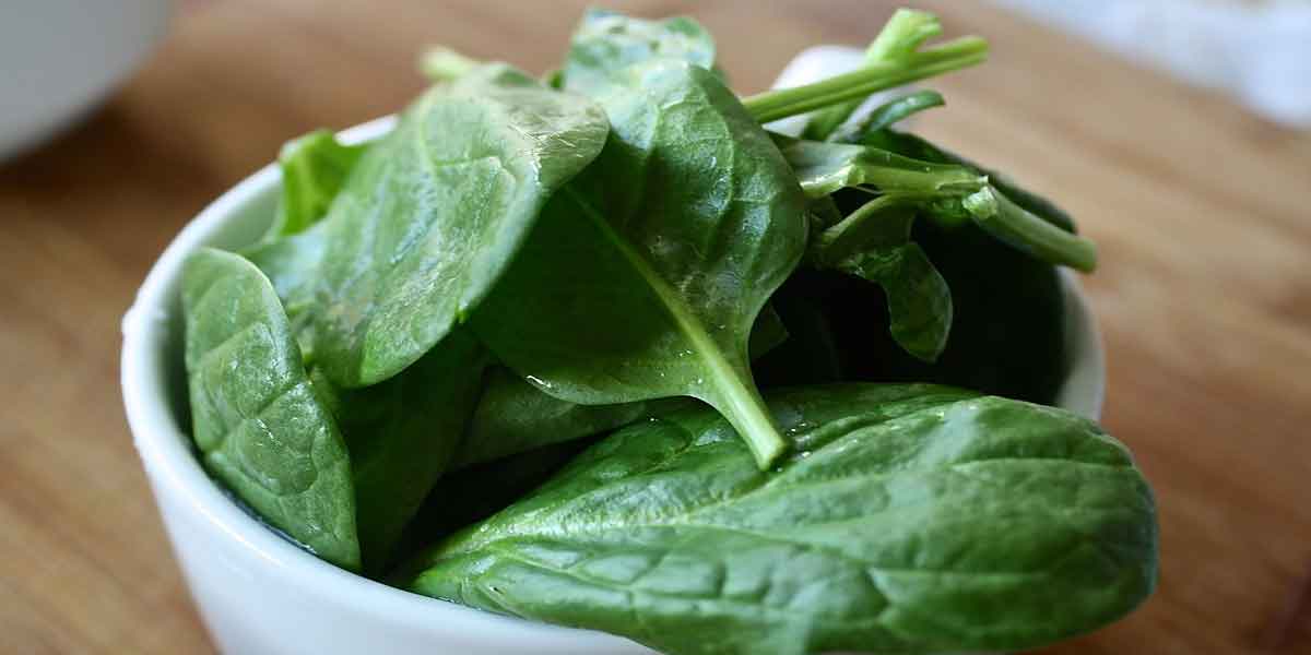 You are currently viewing पालक खाने के फायदे व नुकसान – Spinach Palak Benefits in Hindi