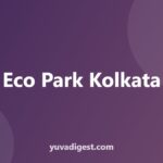 Eco Park Kolkata: Timings, Ticket Price, Rides and Tips
