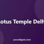Lotus Temple Delhi: History, Timings and How to Visit