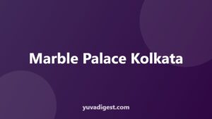 Read more about the article Marble Palace Kolkata: History, Permission and Timings